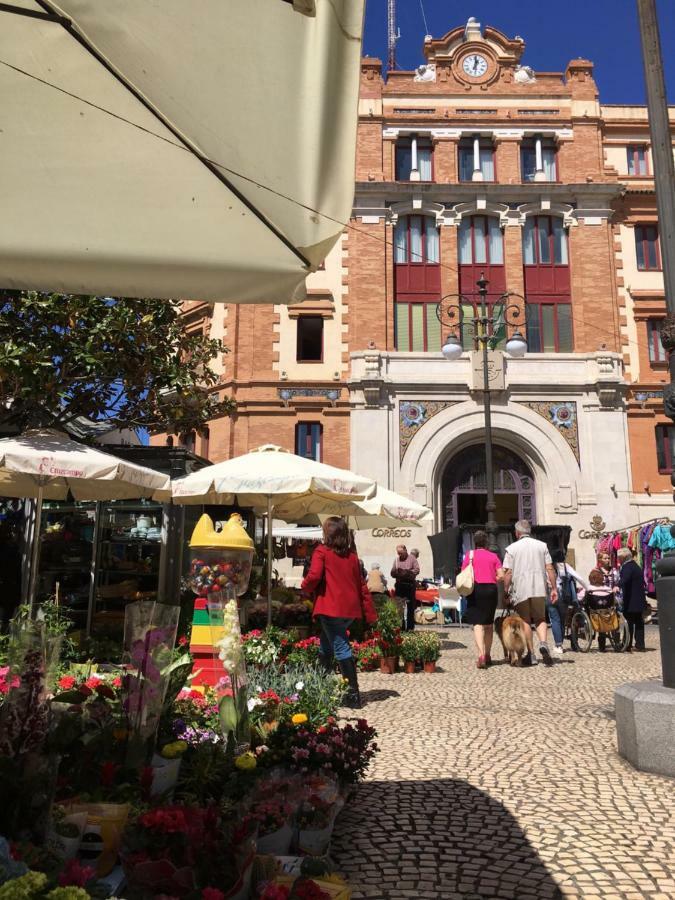 Diseno Y Confort Junto A La Catedral